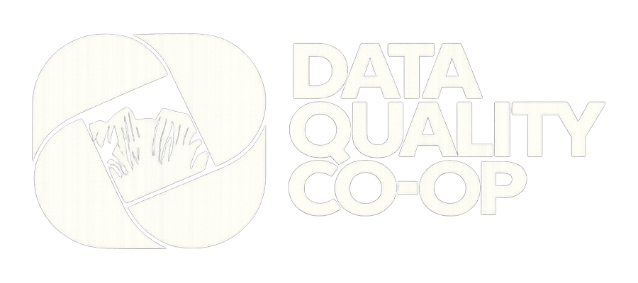 Data Quality logo