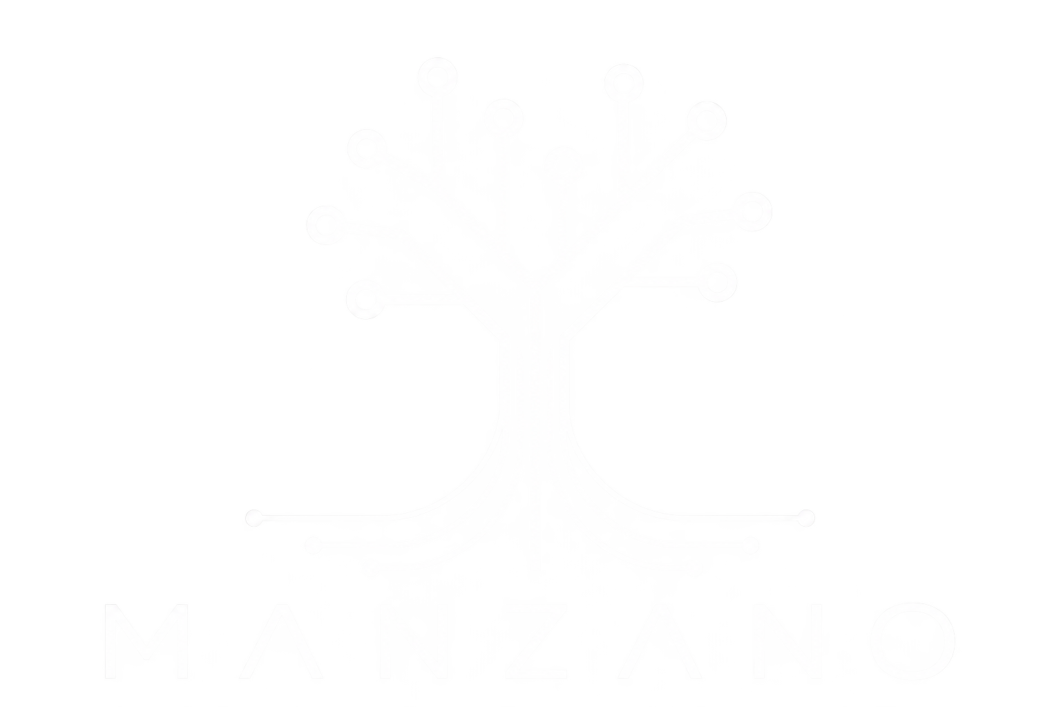 Manzano Systems logo