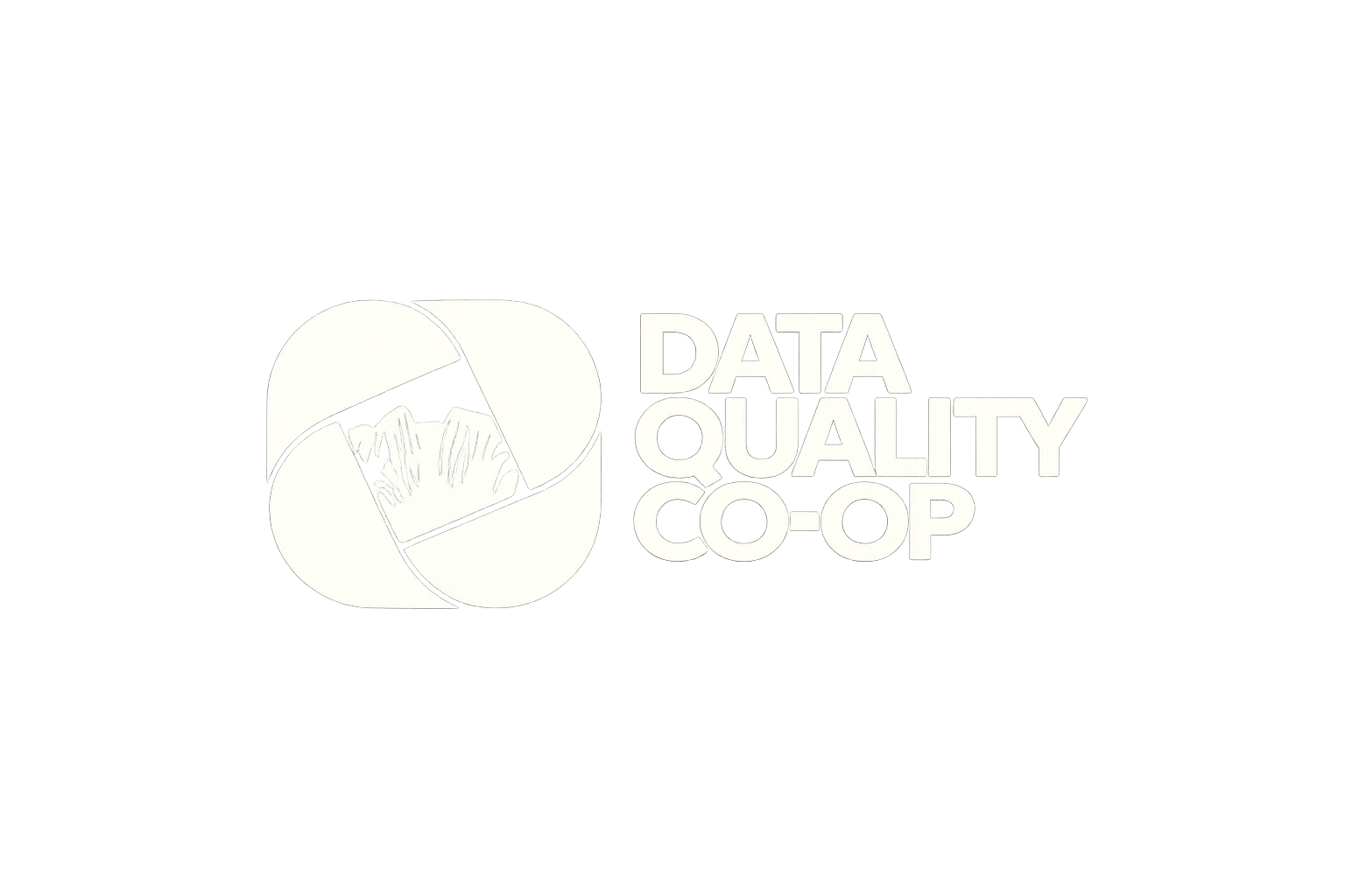 Data Quality logo